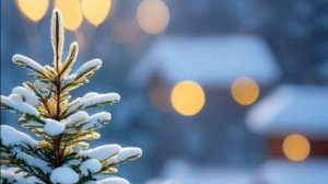 С добрым зимним утром видео-открытка картинки