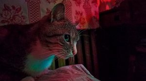 Плейлист фонков для ночной езды| Музыка Фон для души| Красивая музыка, слушать фонк