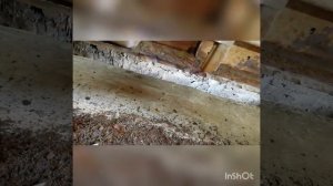 кузовной ремонт Ниссан Максима а32