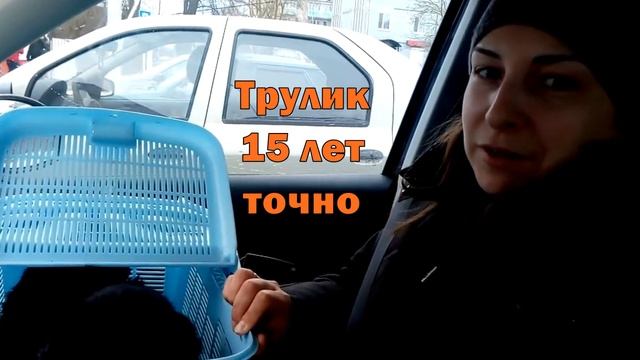 КОТ ХУДЕЕТ, ЖЕНА ДЫМИТ // The cat is losing weight. Wife smokes. смотреть онлайн