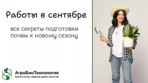 Сделайте это в сентябре:  все секреты подготовки почвы к новому сезону!