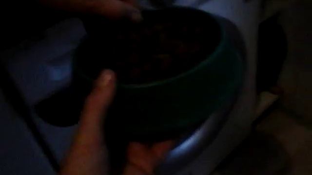 ТРЕНЕРОВКА бигля смотреть онлайн