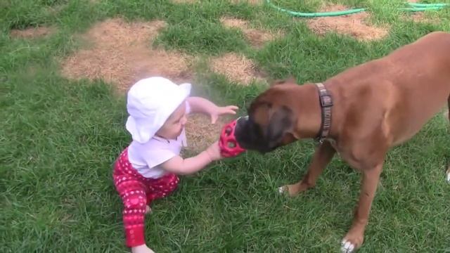 игра ребенка с собакой смотреть онлайн