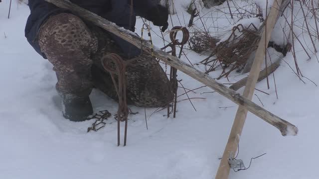 Капканы на бобра. Охота на бобра. смотреть онлайн