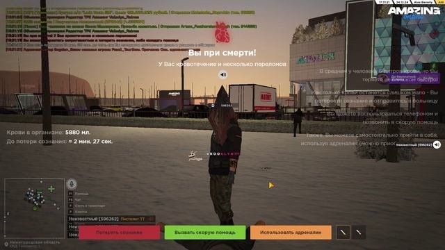 дэмс