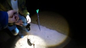 Ловим налима на реке Оредеж.