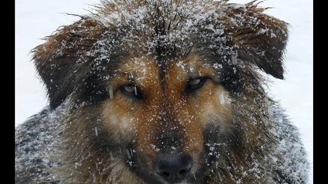 Голая душа смотреть онлайн