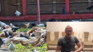 И снова я палка в колёса