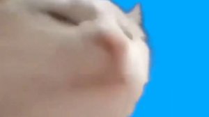 ХОЛЛИ БАМ И ОЛЯ КЕКС ПЕСНЯ ПРО БИДБОКС @HolyBaam @OlyaKeks