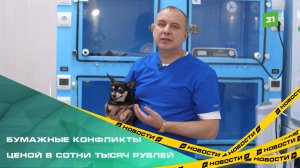 Владелец ветеринарной клиники в Челябинске полгода пытается расторгнуть договор с Устэком