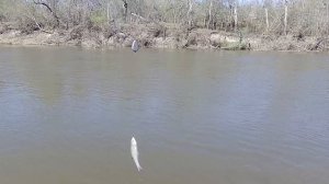 ПЕРВАЯ ВЕСЕННЯЯ РЫБАЛКА С ДОНКАМИ НА ХОПРЕ.