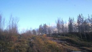 Две нивы вокруг оз.Портянки в городе Мурманск