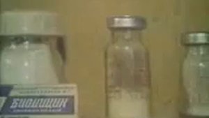 Советское пчеловодство. Болезни и вредители пчел. СССР. 1968 год