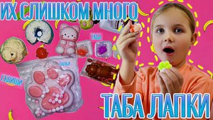 Все мои ТАБА Лапки СКВИШИ Большой Обзор ЧЕЕК