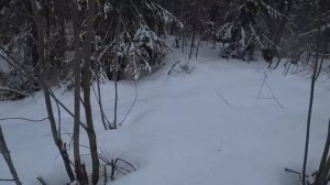 Возвращение из Тайги в непогоду 30 км