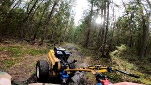 Поход за металлоломом обернулся невероятным грибным уловом