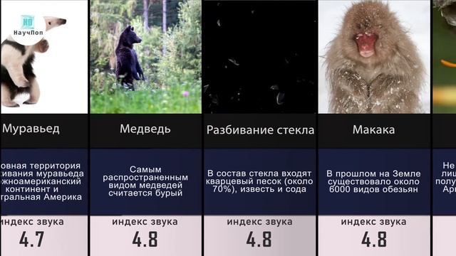 Раздражающие ЗВУКИ