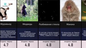 Раздражающие ЗВУКИ
