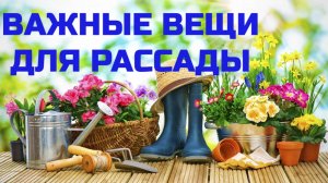 ВАЖНЫЕ ВЕЩИ ДЛЯ РАССАДЫ.