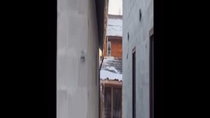 Новогодняя илюминация