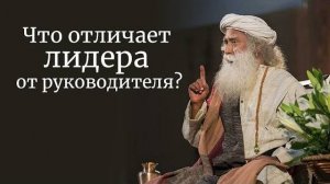 Что отличает лидера от руководителя