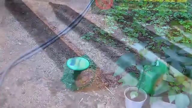 Отпугиватель кротов Торнадо ОЗВ 03 смотреть онлайн