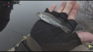 Рыбалка в ноябре на Зуевском водохранилище