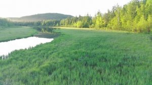 Колхозные озера у п.Восточный пригорода Тынды