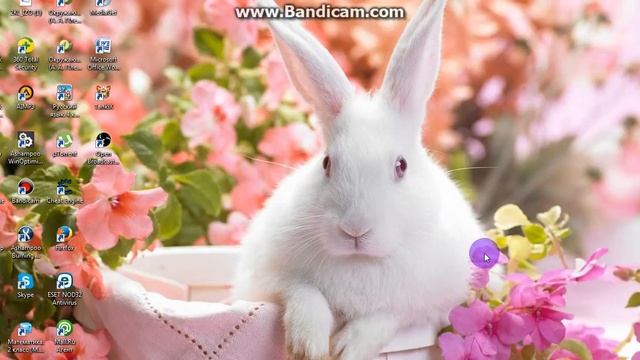 Вечерний видос № 3 смотреть онлайн