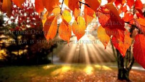 Мой фильм Осенний блюз