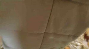 курятник / 9 февраля