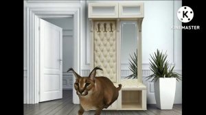 Сериал про шлепу "Одиночки" эпизод 1" Отменённая встреча"