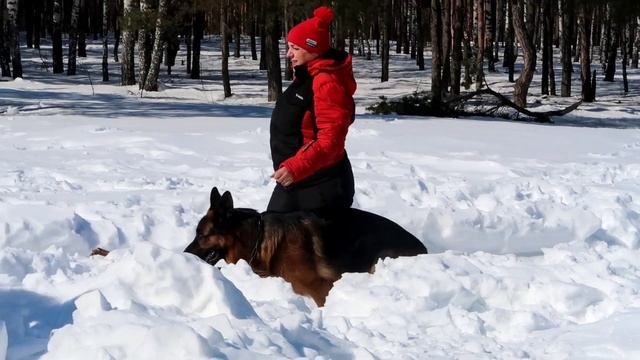 Сдача Кёрунга...