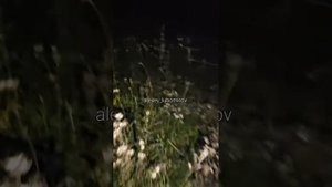 ПОРЧА НА ВРАГА