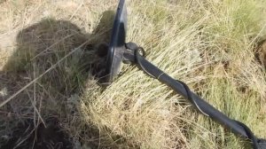 TX-850 Инструкция Для Начинающих. G-2. FS-2, Fisher Gold Bag