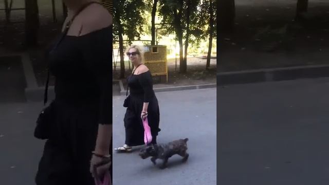Харьков .День тяжёлый .Большой уровень опасности ! #харьковчане #харьковсейчас