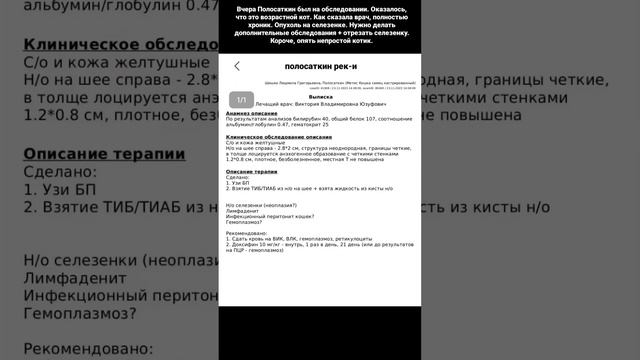 ПОМОЧЬ: СБ 5336 6901 6946 5830 на Валерию Олеговну А. (Дома 40+ кошек с дач и 2 собаки) #кошки #спб