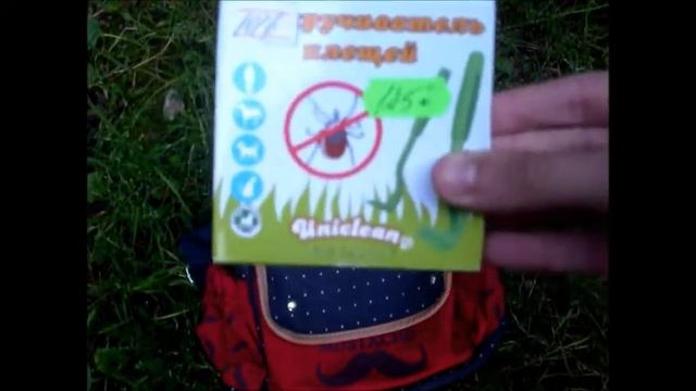 Что я беру на долгие прогулки для своего кота? смотреть онлайн