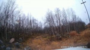 Первый выезд на Ниве.