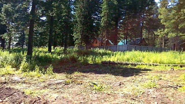 Трубачево, участки в кедровом бору. смотреть онлайн