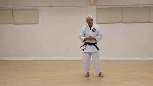 Rohai Kata - Wado Ryu Karate - Deep Dive 4K