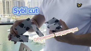 Кардистри для новичков ( sybl cardistry tutorial )