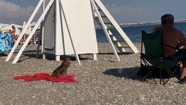 Море в Турции в октябре. Пляж Коньяалты в Анталье. Турция Анталья. Бенна отель