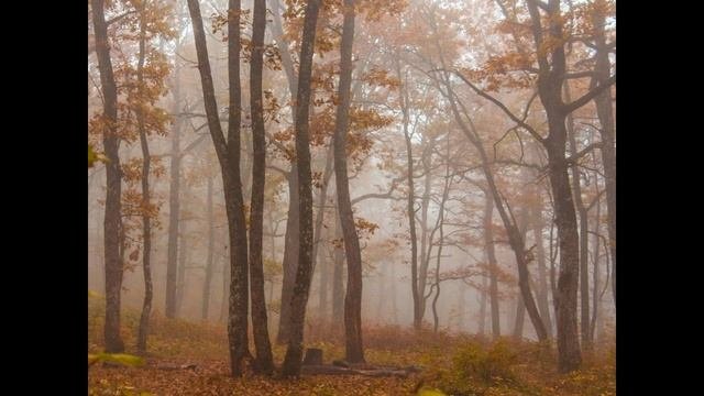 Горячий ключ -   водички выпей и не глюч