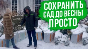 ЭТО поможет сохранить растения до весны. Какие растения надо и НЕ надо укрывать?