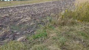 Плуг Универсал, 2 гектара! 👍