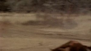 Млекопитающие. Дикий мир 1 сезон 1 серия (документальный сериал, 1999)