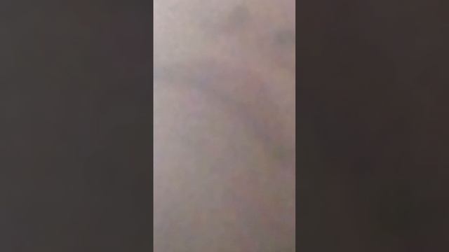мороженое.желе.Йогурт петивой
