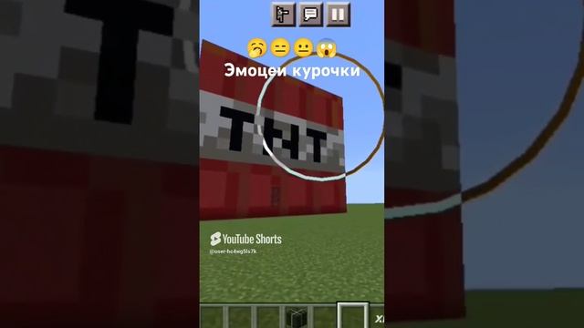 Кука ре куууу я не хотел тратил!