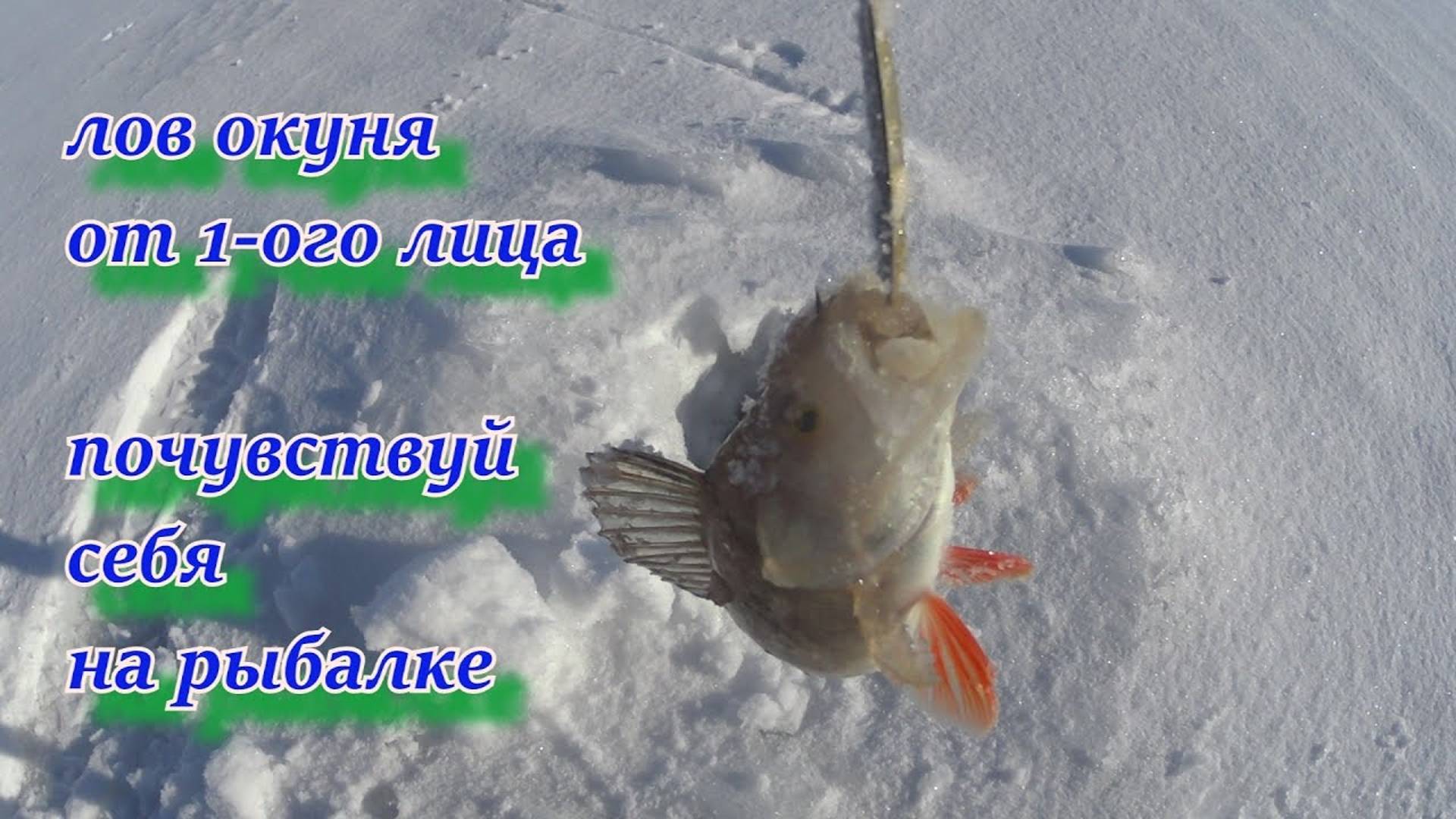 ЛОВ ОКУНЯ ОТ 1 ОГО ЛИЦА.  ПОЧУВСТВУЙ СЕБЯ НА РЫБАЛКЕ!!!